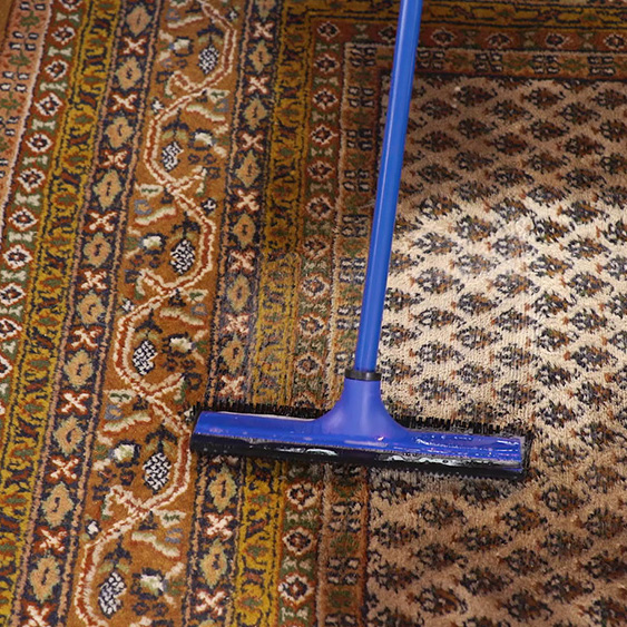 Teppich-und Polsterreiniger - Das Blaue Wunder