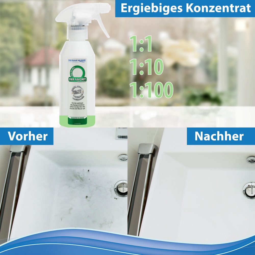 Reiniger_Favorit_Amazon_02_neu