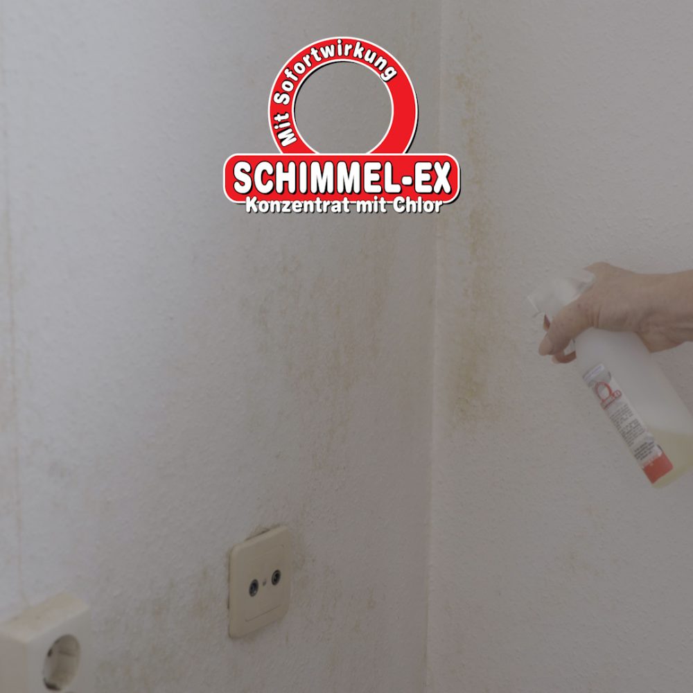 Schimmel-Ex.00_00_02_03.Still001