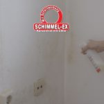 Schimmel-Ex.00_00_02_03.Still001