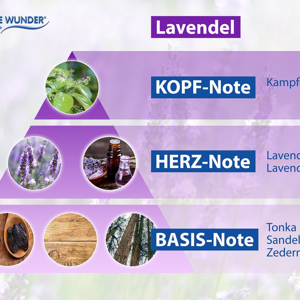 Duftpyramide_Freshener_Lavendel