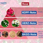 Duftpyramide_Freshener_Rose
