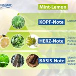 Duftpyramide_Freshener_mintlemon