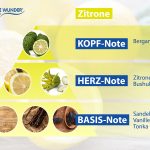 Duftpyramide_Freshener_zitrone