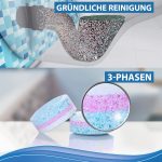 Reiniger_WC-Tabs_Amazon_03