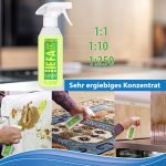 Reiniger_EFA_Amazon_03