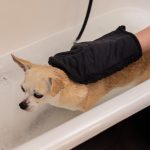 tuecher_Dry-Clean_Switch_04